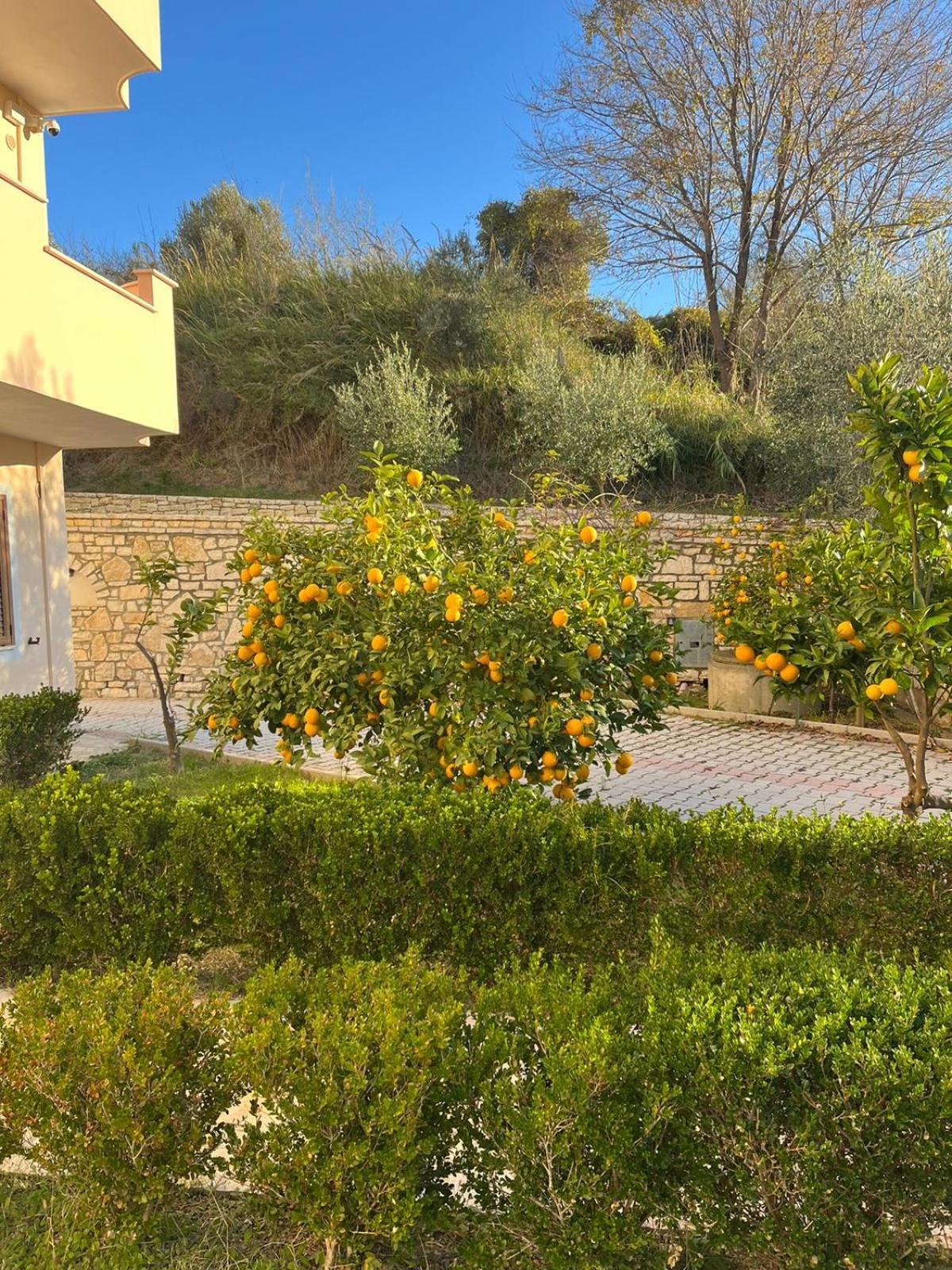 Villa Dei Limoni Shkallnur Ngoại thất bức ảnh