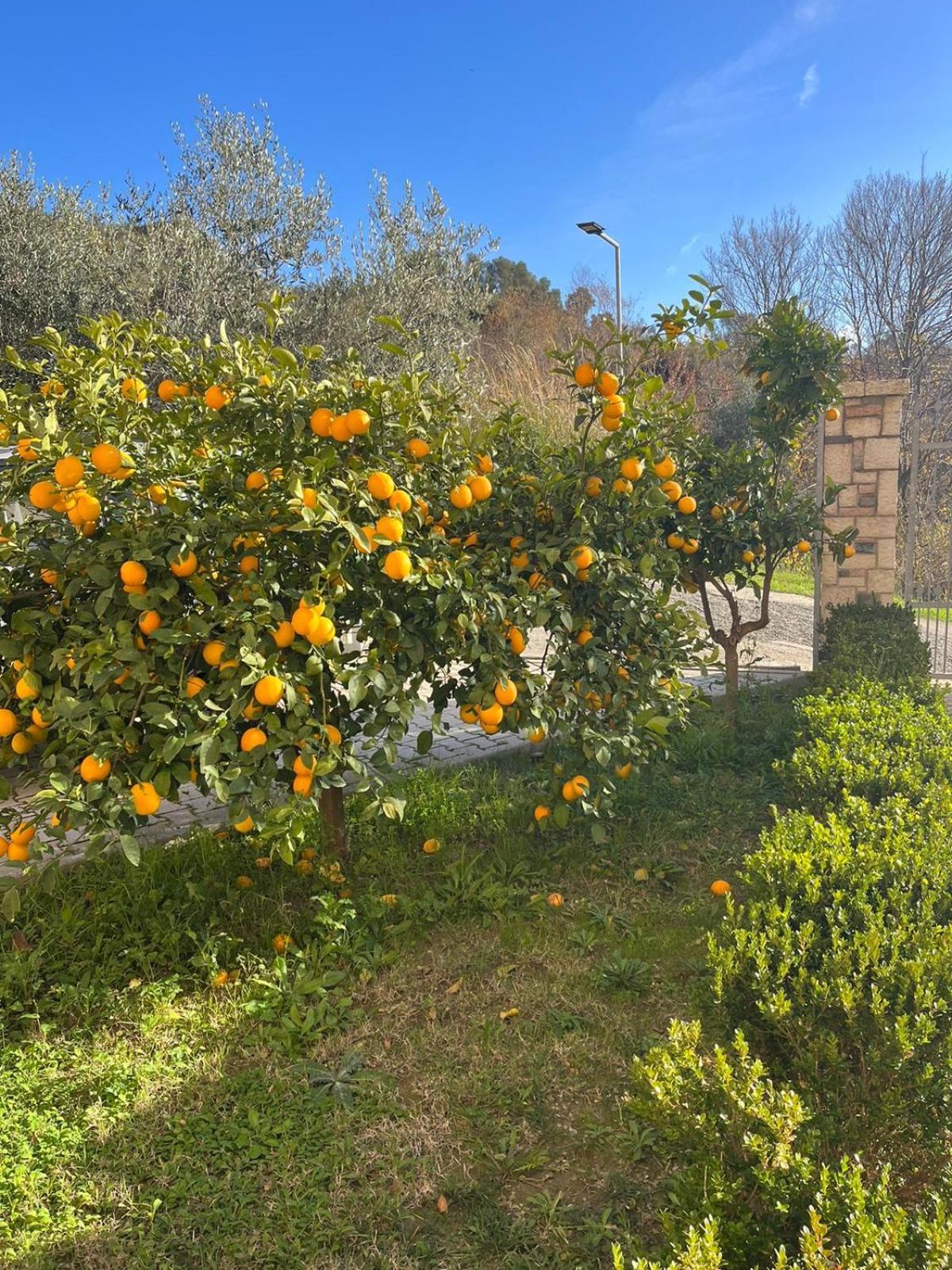 Villa Dei Limoni Shkallnur Ngoại thất bức ảnh