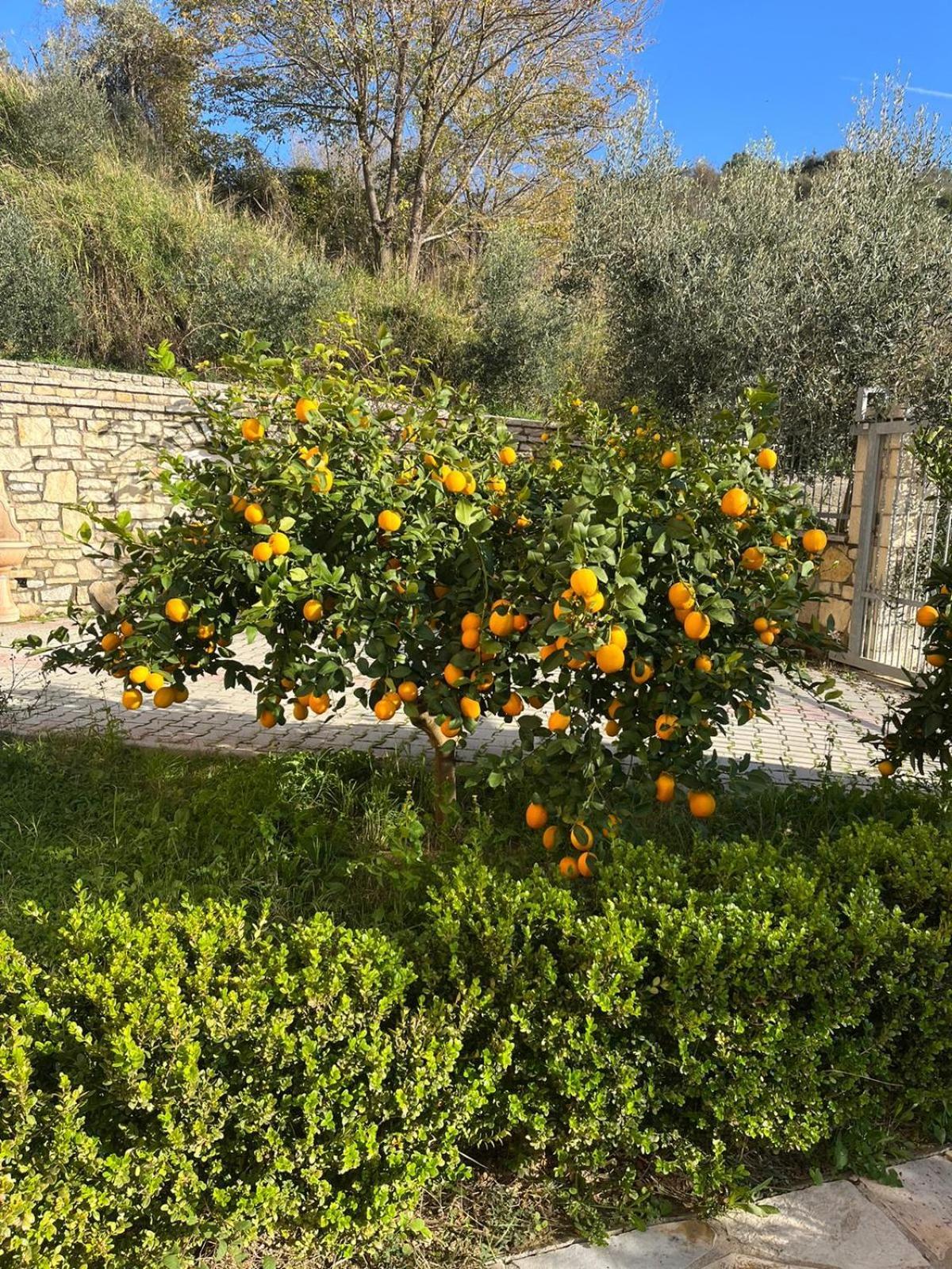 Villa Dei Limoni Shkallnur Ngoại thất bức ảnh